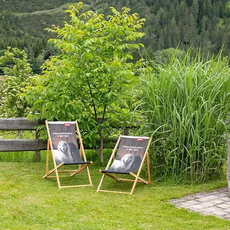 Heidi * Elmen