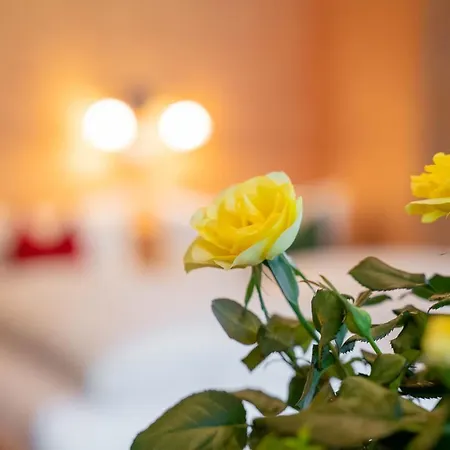 Heidi Apartamento Elmen