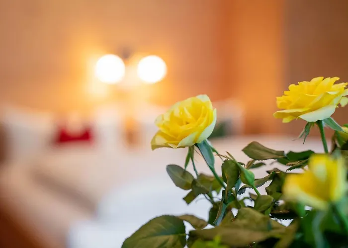 Heidi Apartment Elmen